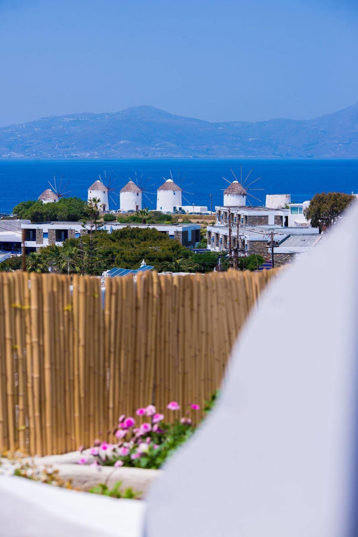 Dimele Rooms & Studios Mykonos Town エクステリア 写真